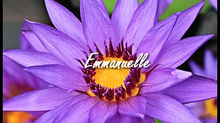 Emmanuelle  -  Música Instrumental