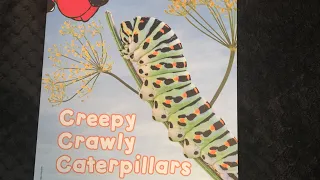 Creepy Crawly Caterpillars