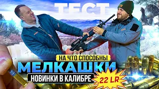 Какую МЕЛКАШКУ 22 LR купить? Как выбрать патрон 22 калибра. Обзор и тест малокалиберных винтовок.