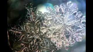 Snowflake Picture Slideshow