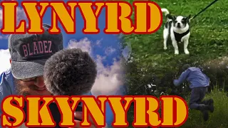 FREE YARD MAKEOVER Its BIGGER than TALL GRASS [Lynyrd Skynyrd]