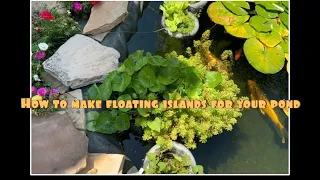 How to make your own DIY floating islands for your pond