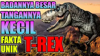 BADANNYA BESAR, TANGANNYA KECIL, FAKTA UNIK DINOSAURUS TYRANNOSAURUS REX ATAU T REX