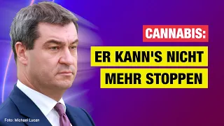 Cannabis wird legal: Warum die CDU nichts tun kann