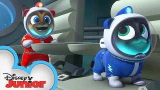 Puppies Go to the Moon! 🌙 | Puppy Dog Pals | Disney Junior