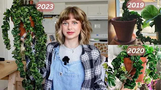 then vs now! how much have my plants grown since 2019? 🤯 (9 plants!)