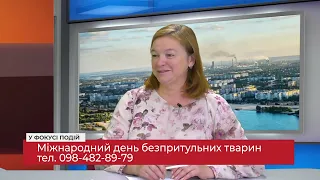 «З початком війни безпритульних тварин в Україні побільшало», - О. Савіцька «У фокусі подій»