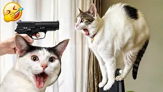 Trending Funny Animals 2024🤣Funniest Dogs and Cats😻Part 8