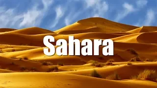 🇲🇦 Qué hacer en el desierto del SAHARA en Marruecos 🐪