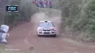 Luckiest Dog Alive! Rally Racing Car Jumps Over a DOG!!!