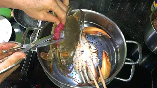 Fresh Crabs for 4 people family dinner - Vietnam street food recipe