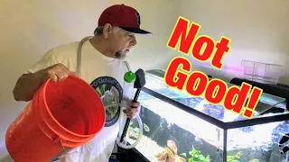 Top 5 Aquarium Water Change Disasters - Don't Let These Happen!