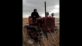 T6 International crawler pulling old tree