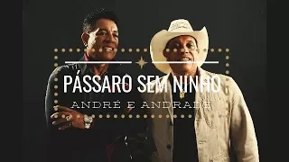 Pássaro sem ninho - André e Andrade ( Vídeo Lyrics )