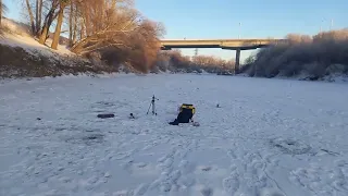 Что происходит с рекой Тобол. Где вся рыба. Зимняя рыбалка 🐟