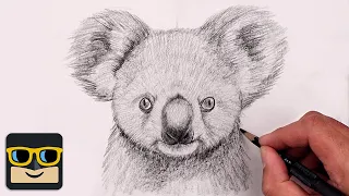 How To Draw a Koala | Sketch Tutorial