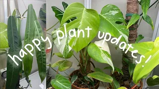 Plant Updates for Spring!