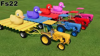 COLOURS OF TRACTORS ! TRANSPORT DUCKS IN FS22 | Farming Simulator 22