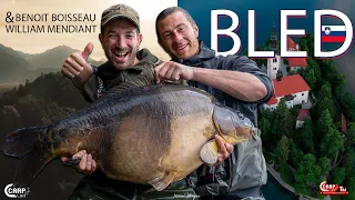 PÊCHE DE LA CARPE | LAC BLED DE BENOIT BOISSEAU | CARP FISHING