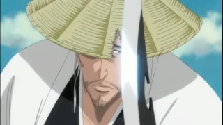 Bleach amv