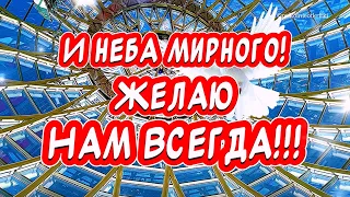 Очень Красивое поздравление С Днем Победы! С 9 мая!!!