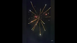 3.5 Inch Shell Bad Boys from Sony Fireworks