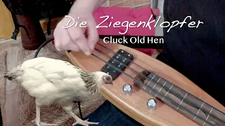 Cluck Old Hen . Die Ziegenklopfer im Dulcimershop