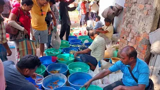 galiff street fish market kolkata visit 09/07/2023 part 2