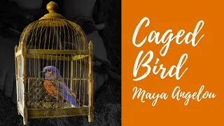 ANALYSIS: Caged Bird🦜 | By Maya Angelou (Poem)