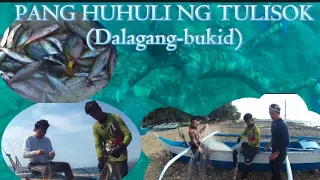 PANG HUHULI NG TULISOK(Dalagang-Bukid)SA TABLAS SAN AGUSTIN ROMBLON.