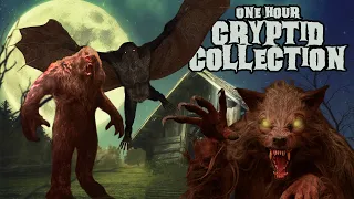 Hour-Long Cryptid Collection: Dogman/Mothman/Bigfoot