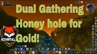 Old world dual gathering making gold. #wow #goldmaking #shadowlands