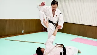 Cut with "The blade of the foot"! Awesome "Shorinji Kempo" kick!