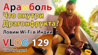 ВЛОГ ИНДИЯ. Что внутри драгонфрукта? Ловим Wi-Fi в Индии и как обычно изучаем цены в Гоа. 4К