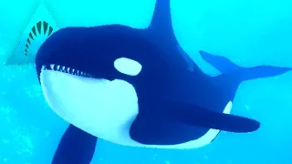Killer Whale Eats Divers! - Depth | Ep10 HD