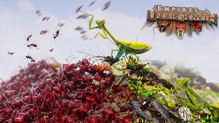 BUG EAT BUG WORLD!!! | Empires Of The Undergrowth - Ep25