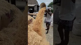 Amazing Match Box Manufacturing Process | Matches Sticks Making Complete Process #shorts