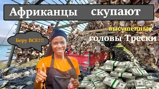 Сухие головы Трески. Зачем в Норвегии сушат рыбьи головы? Куда их отправляют?