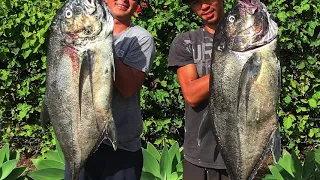 Shallow Dreams Spearfishing in Hawaii