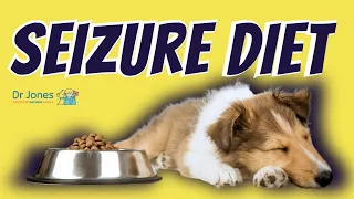 Dog Seizure Diet