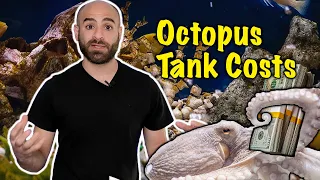 What does an OCTOPUS TANK COST!?