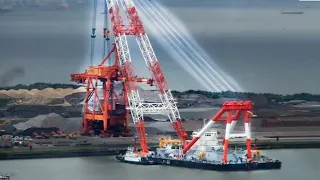 15 MOST Amazing Types of Cranes