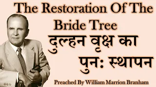 The Restoration Of The Bride Tree 62-0422 दुल्हन वृक्ष का  पुन: स्थापन HINDI WILLIAM BRANHAM