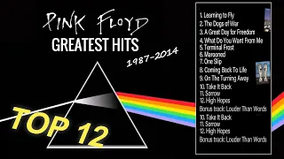 Pink Floyd The Later Years - Pink Floyd Greatest Hits 1987-2014