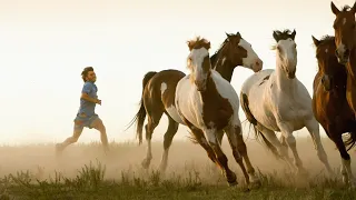 Дикие лошади / All the Wild Horses