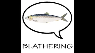 Blathering - 178 - Importfunktion im Master-Branch