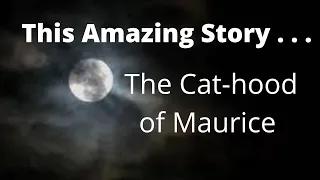 The Cat-hood of Maurice | Fairy tale before Sleep | Crickets Chirping