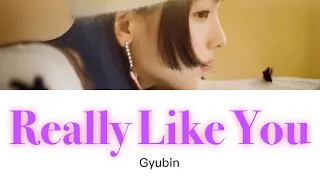 Really Like You - Gyubin - 日本語字幕 和訳 歌詞 カナルビ