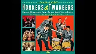 Various – Long-Lost Honkers & Twangers : 60's Instrumental Surf Rock & Roll Music Album Compilation