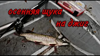 СЛОМ ПОГОДЫ НИПОЧЕМ! РЫБАЛКА НА ЩУКУ НА ДЖИГ. ПУСТЫМИ НЕ УХОДИМ!